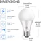 Energetic Lighting LED Bulb 8.5W (60W Equivalent), A19 E26/Medium (Standard), 5000K, Non-Dimmable, 24PK YGA03C54-850-24P - alternate 4
